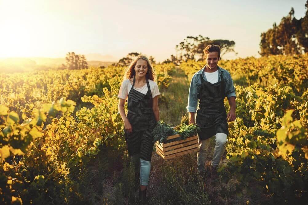 Lagom the Swedish Hygge Lagom the Swedish Hygge
