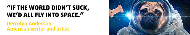 Funny Quotes That Make You Laugh Out Loud & Get Motivated